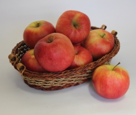 Jabolka - Idared 9,5 kg